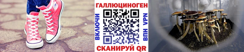 нарко площадка клад  мега ссылки  Норильск  наркошоп  Галлюциногенные грибы MAGIC MUSHROOMS 